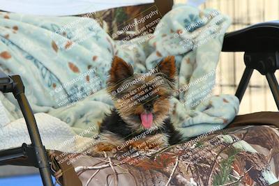 media/Sep-20-2025-TrackDaz (Sat) [[27f0cde673]]/Around the Pits/